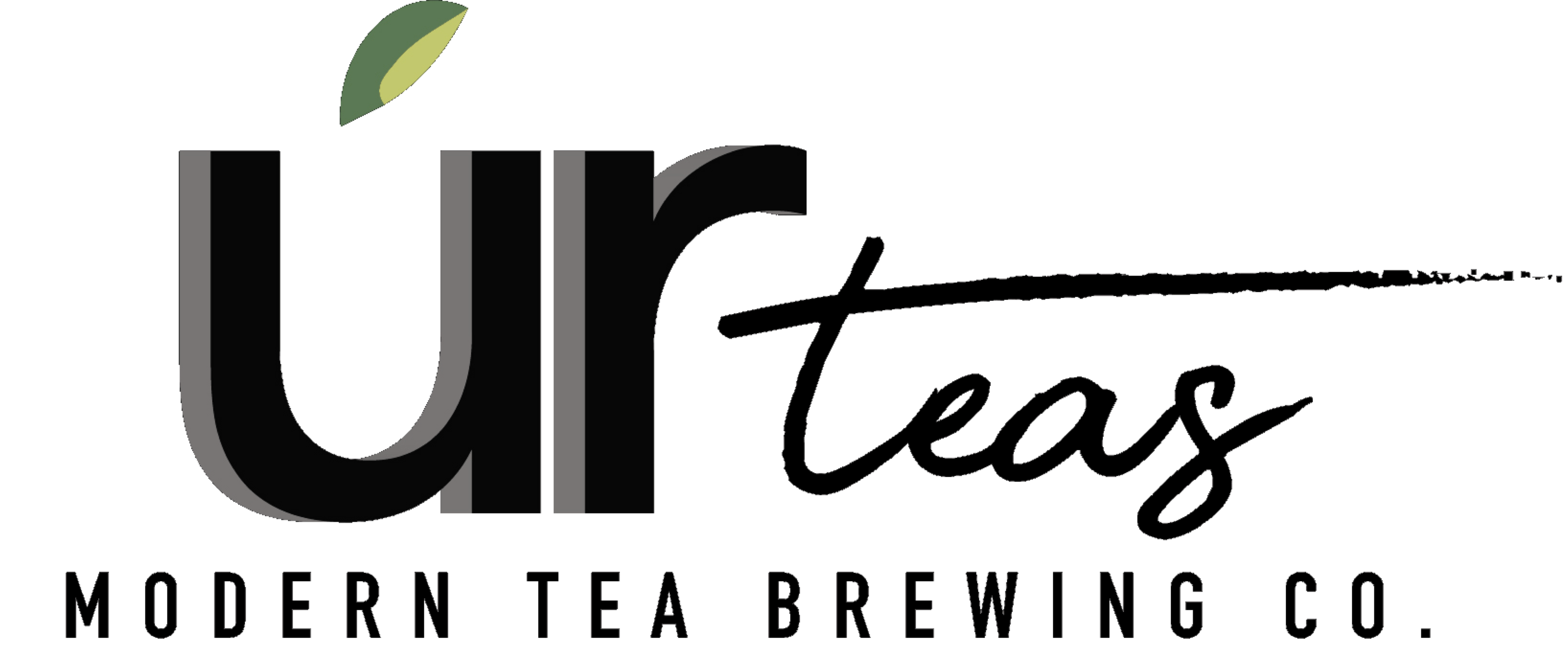 primary_logo (1)-Oct-10-2024-06-42-57-0189-PM