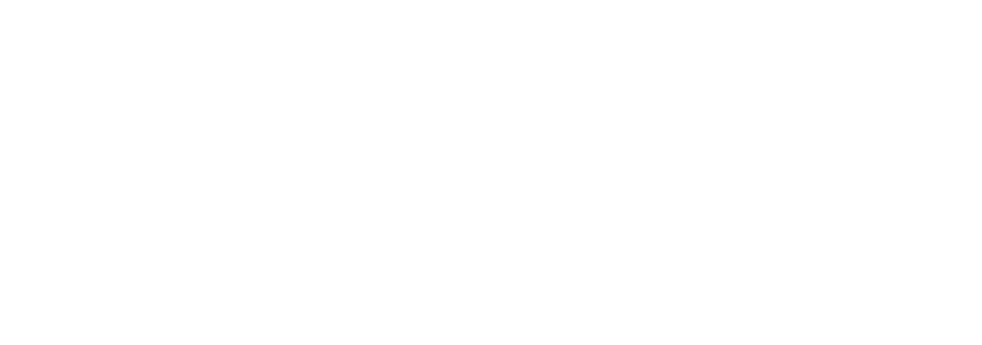 primary_logo (1)-Sep-11-2024-04-36-54-9625-PM