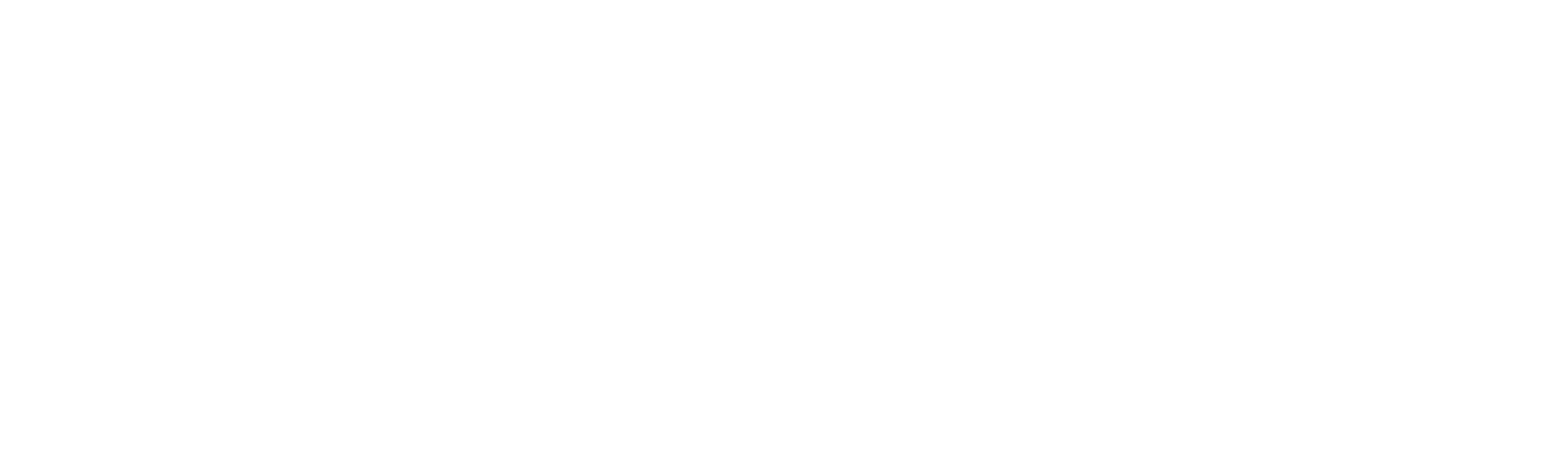 primary_logo (2)-Mar-21-2025-10-32-01-7481-PM