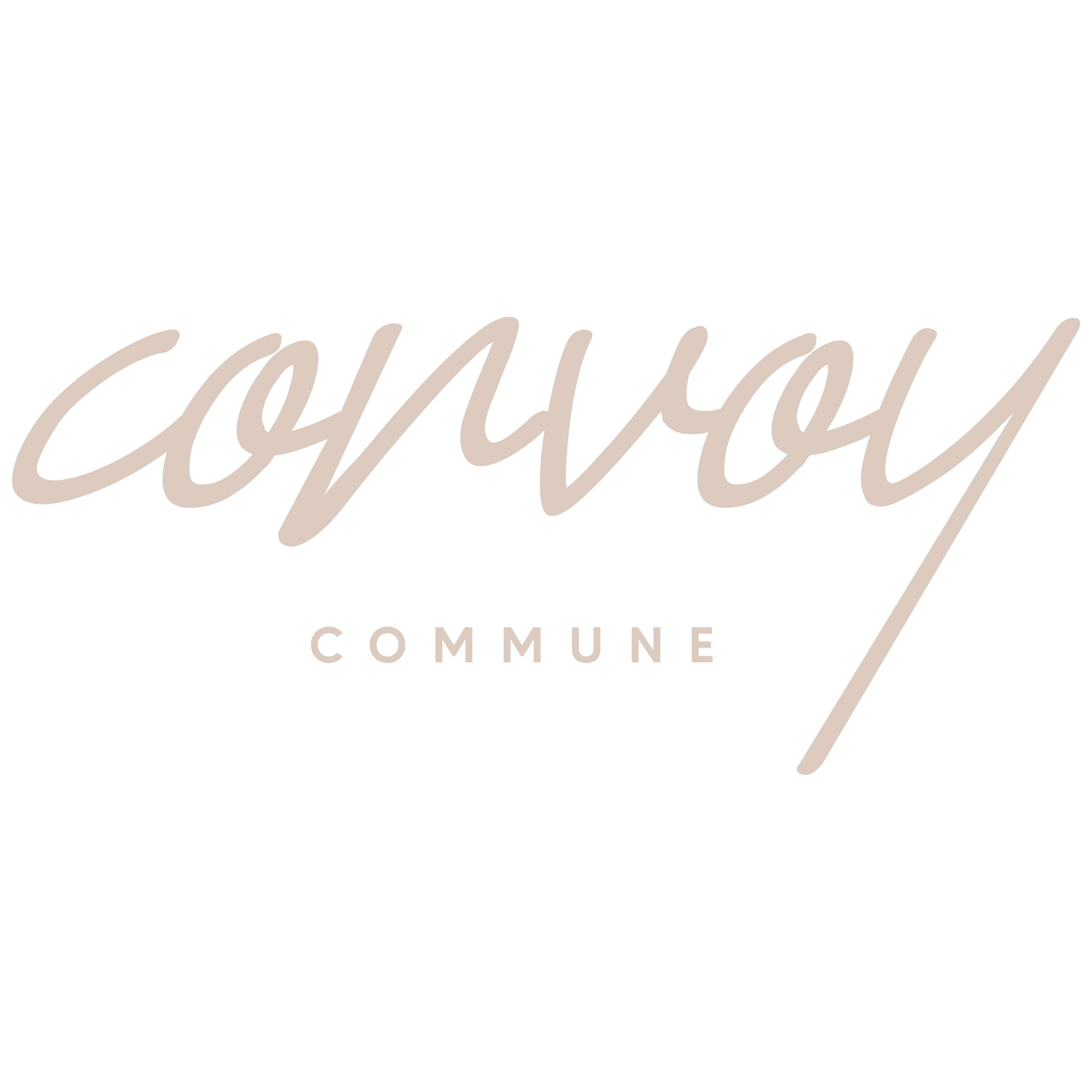 primary_logo (3)-Jul-14-2024-04-06-53-7703-PM