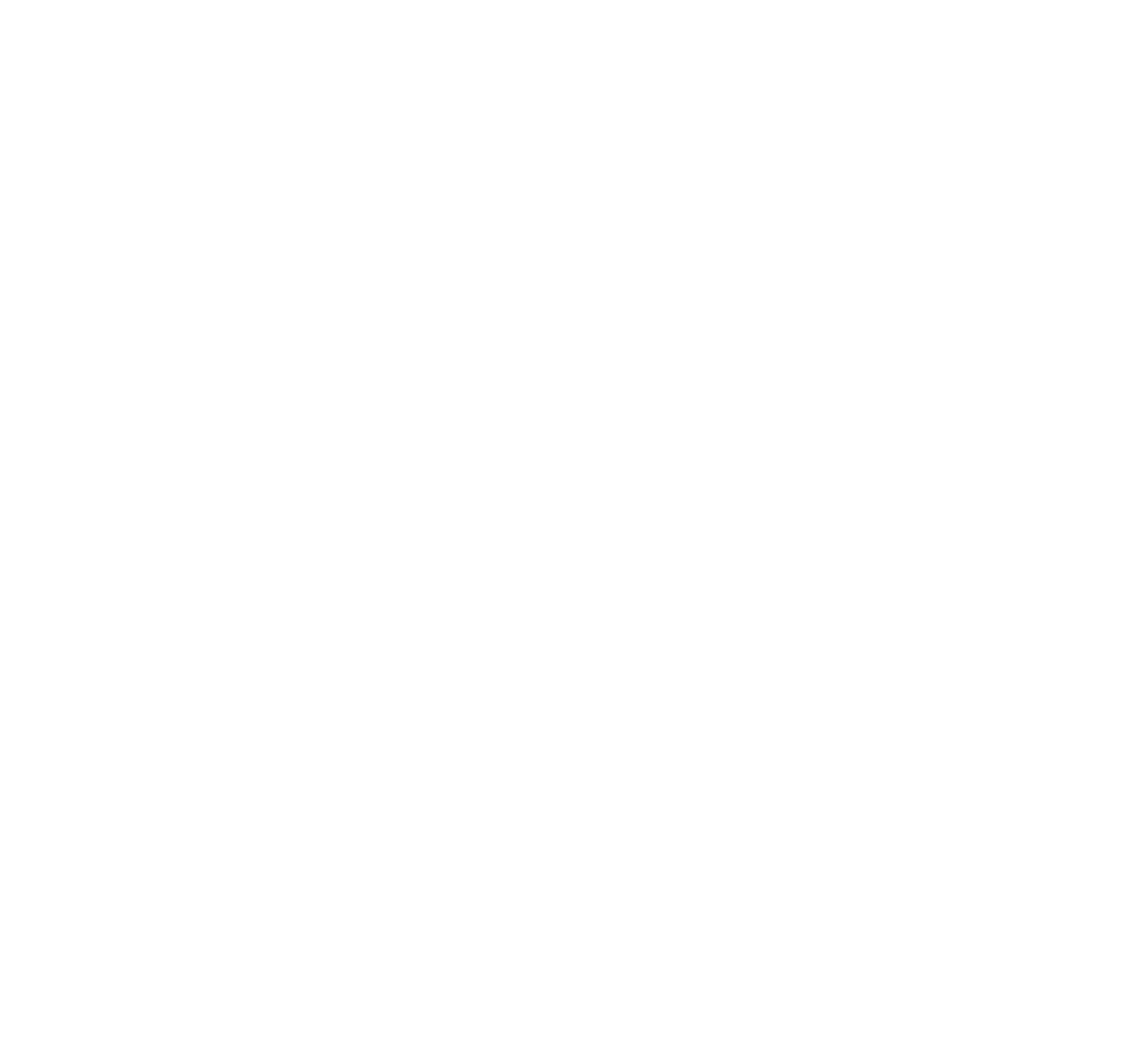 primary_logo (8)-Mar-14-2025-09-34-14-6550-PM