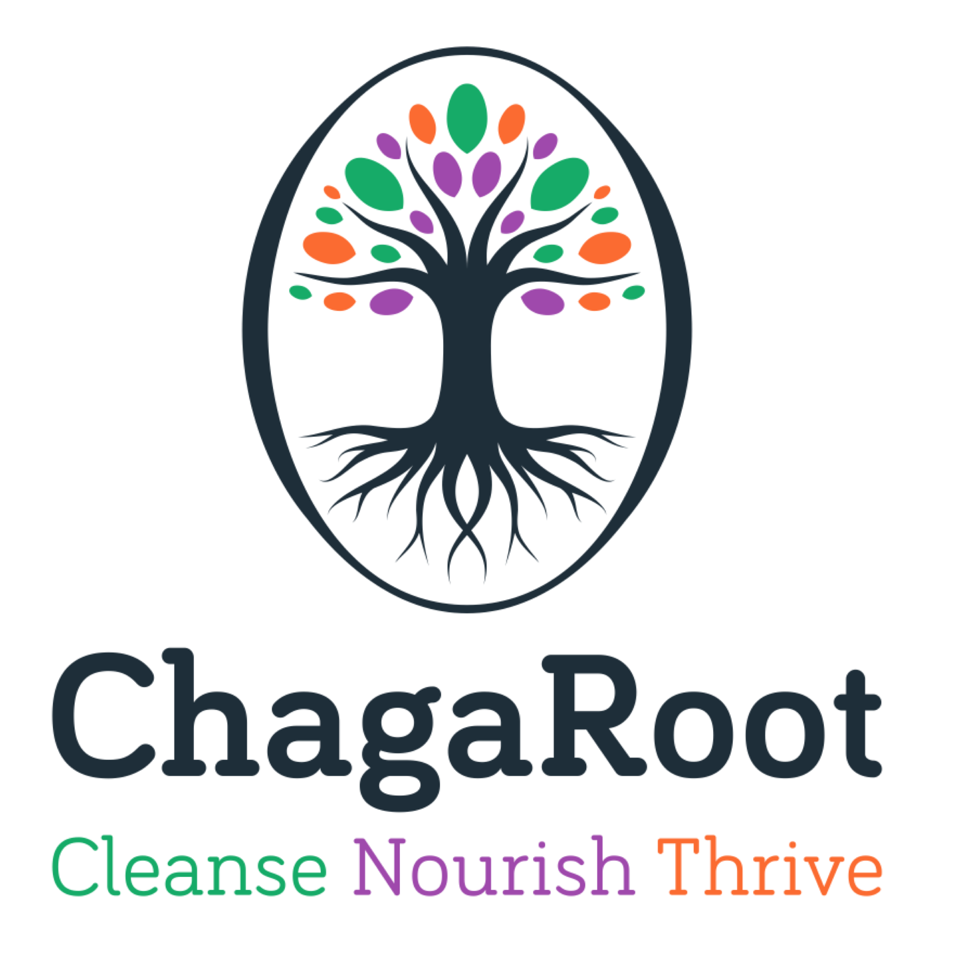 primary_logo-May-21-2024-05-40-39-0722-PM